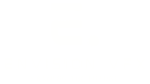 Envision VFX white-logo